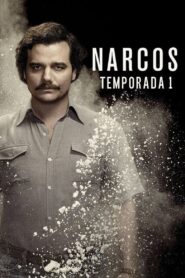 Narcos: Temporada 1